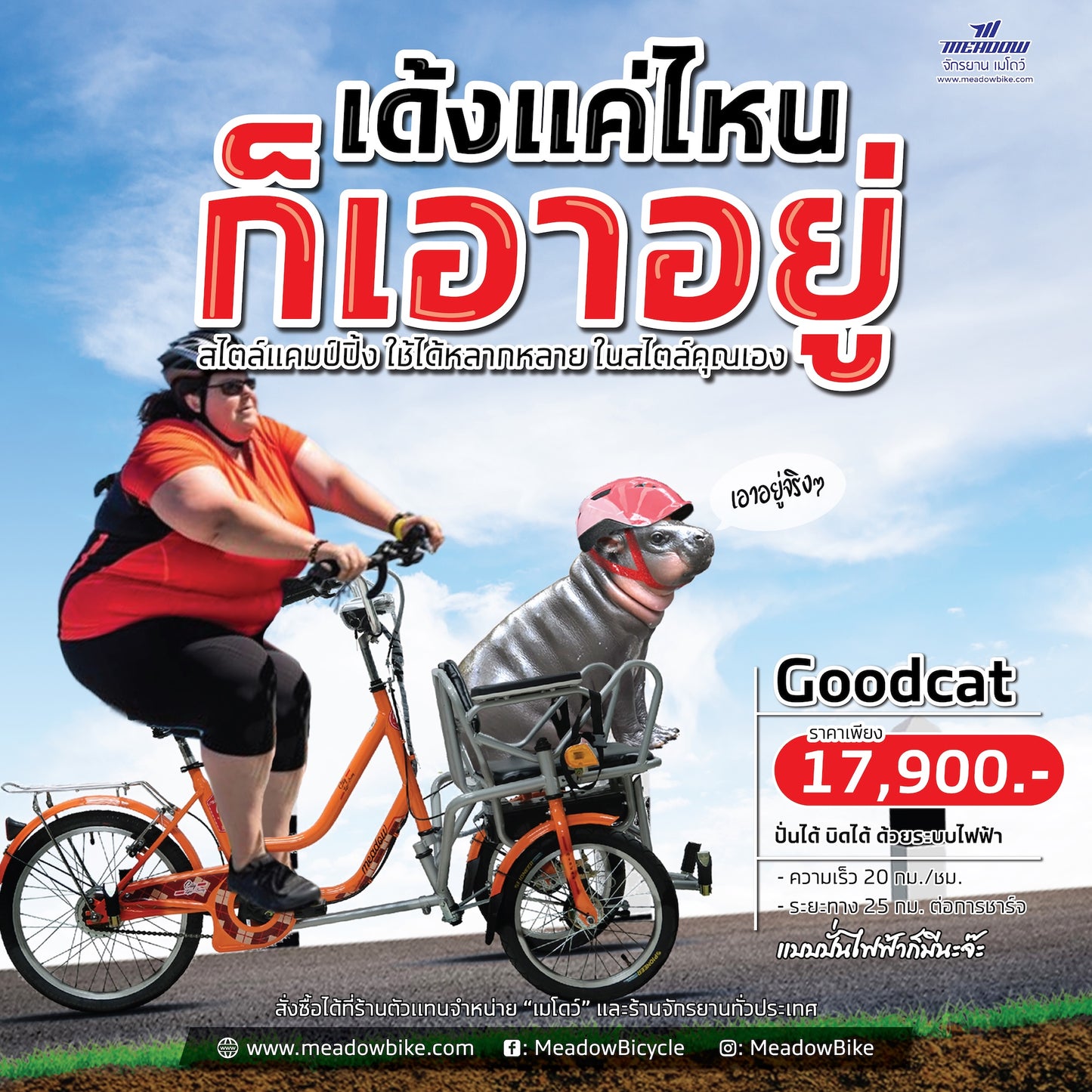 MEADOW สามล้อไฟฟ้า รุ่น Goodcat 20" Cargo อเนกประสงค์