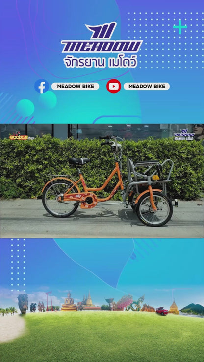 MEADOW สามล้อไฟฟ้า รุ่น Goodcat 20" Cargo อเนกประสงค์